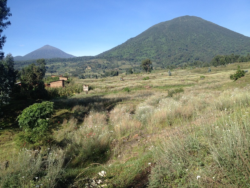 Gallery image for Travel That Feels Real: Discovering the Virunga Region Responsibly